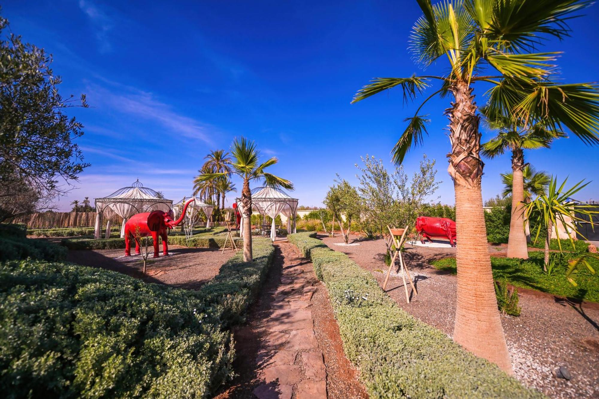 Maison Daouia Ouled Jelal Εξωτερικό φωτογραφία